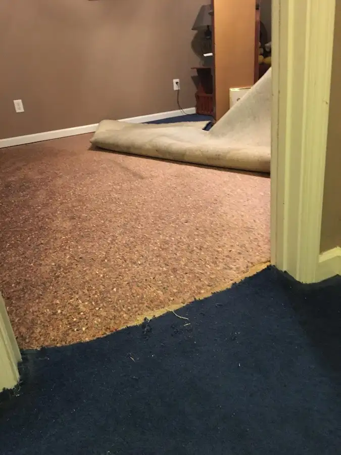 Carpet pad removal revealing water damage during Water Mitigation Services in Defiance