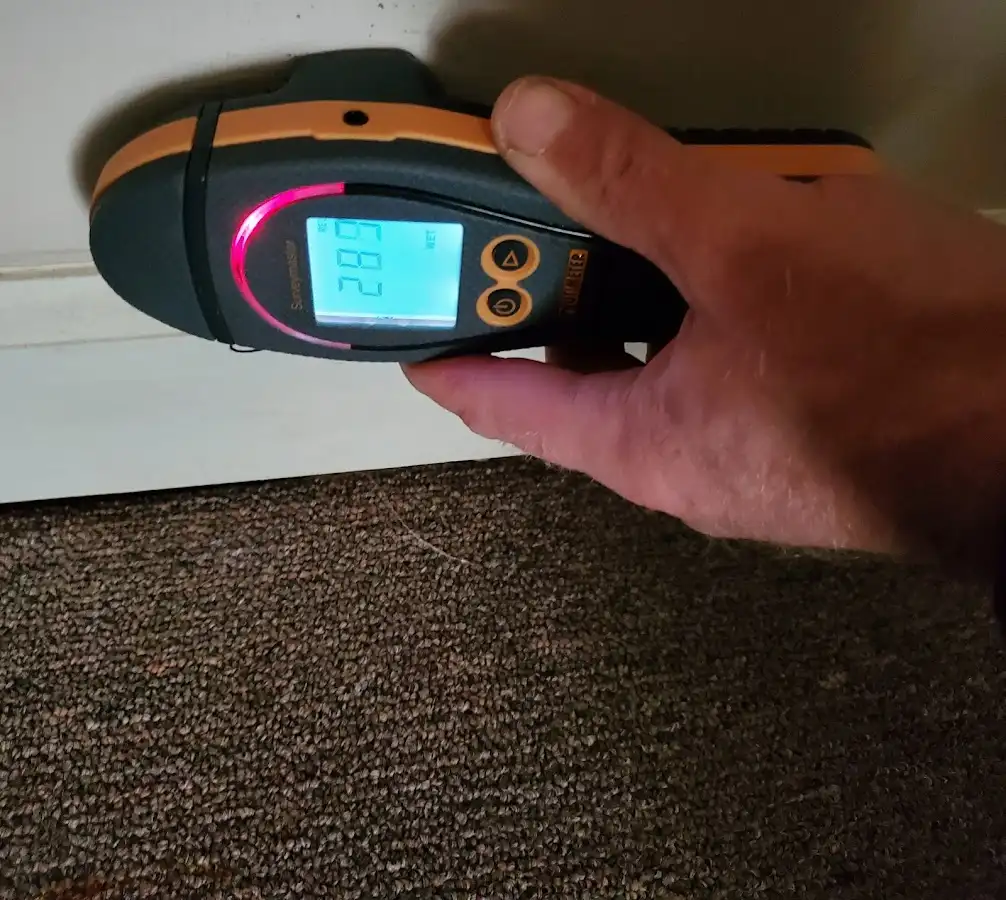 Moisture detection at baseboard during Sewage Cleanup & Sanitation in Defiance